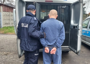 Dwaj 25-letni sprawcy pobicia w Wieluniu trafili do aresztu.
