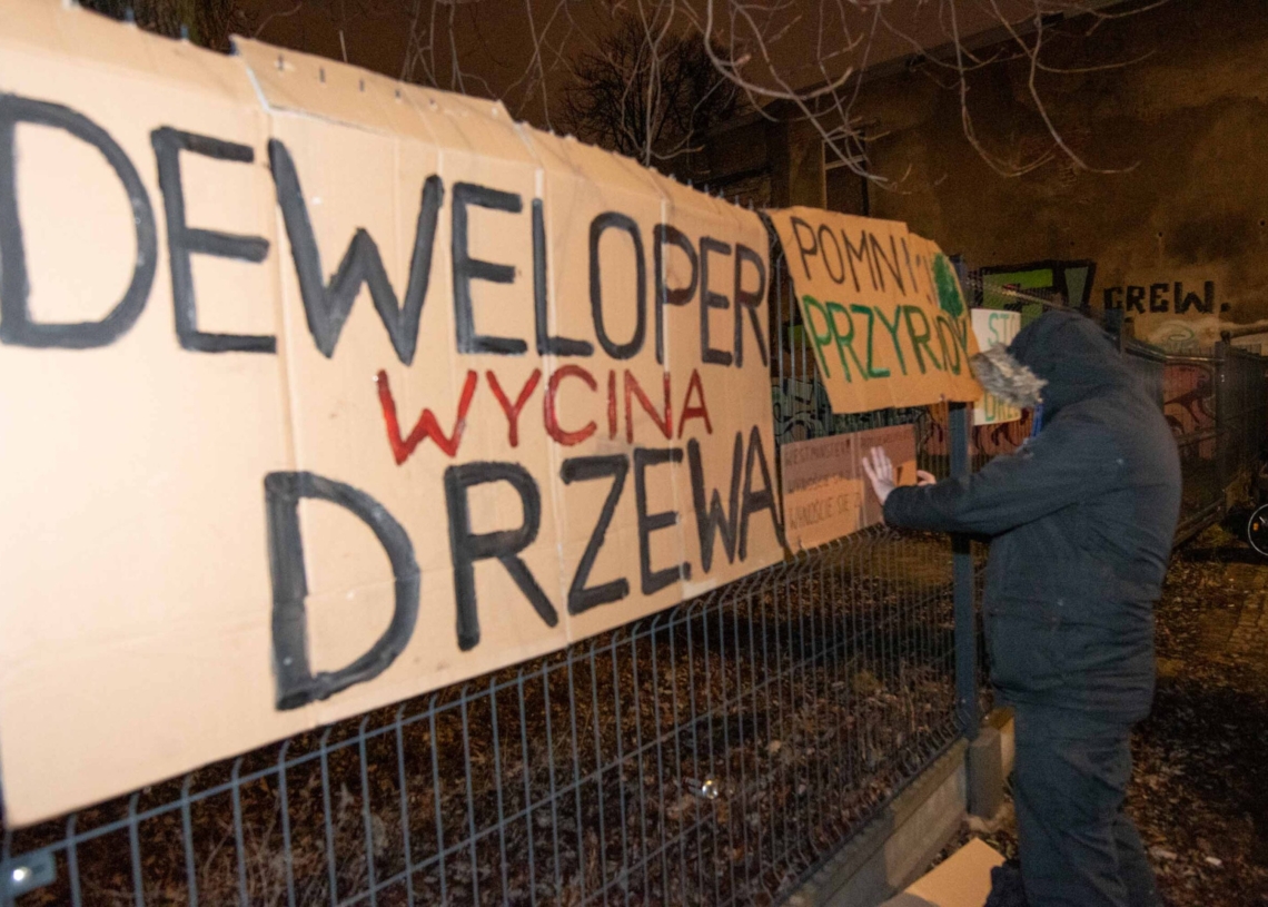 Wycinka drzew przy Kilińskiego 95 w Łodzi