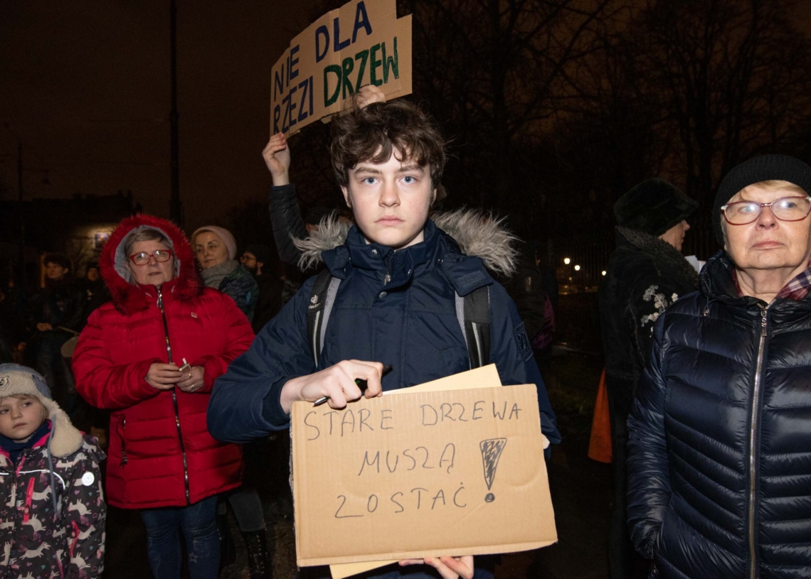 Wycinka drzew przy Kilińskiego 95 w Łodzi