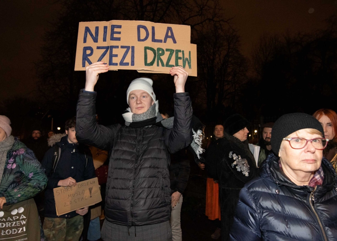 Wycinka drzew przy Kilińskiego 95 w Łodzi