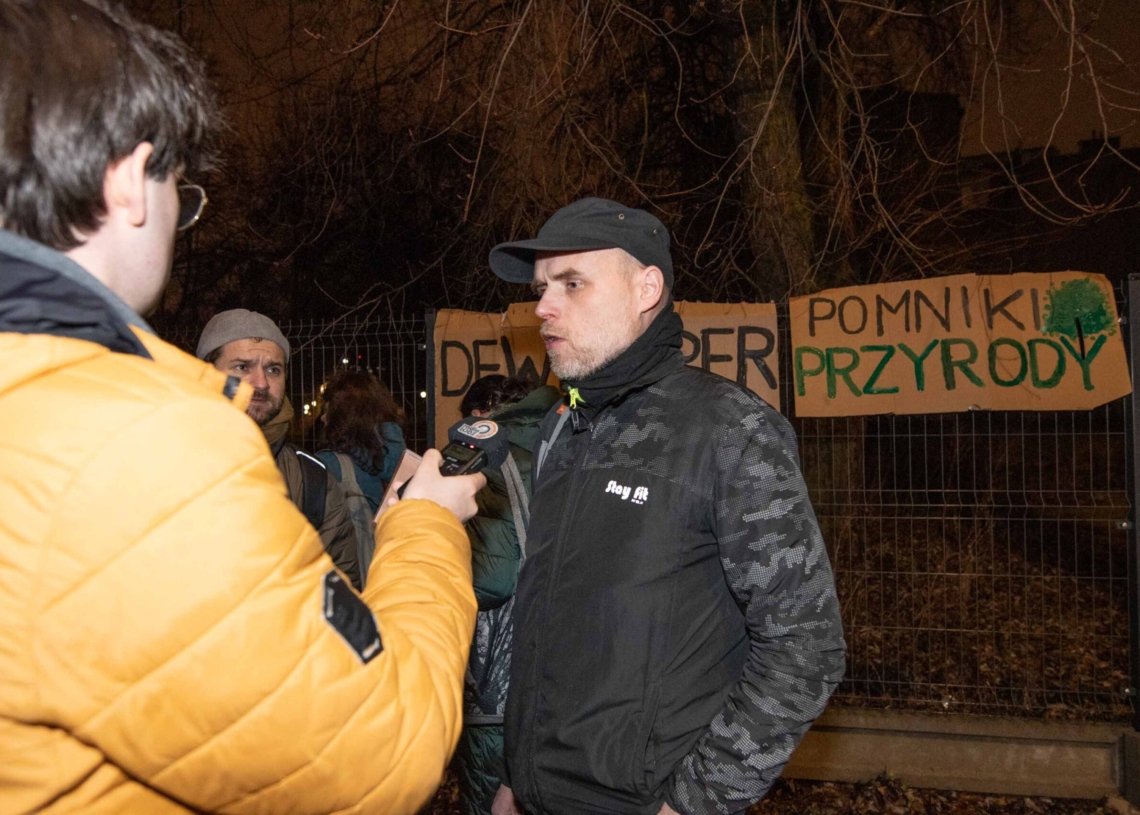 Wycinka drzew przy Kilińskiego 95 w Łodzi