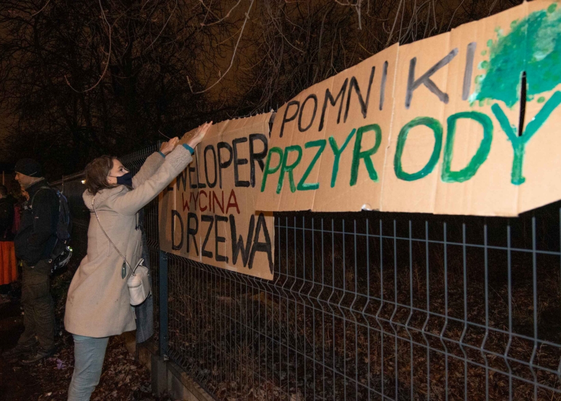 Wycinka drzew przy Kilińskiego 95 w Łodzi