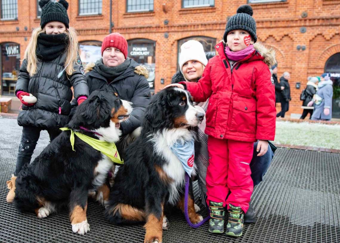 Wielkiej Orkiestry Świątecznej Pomocy