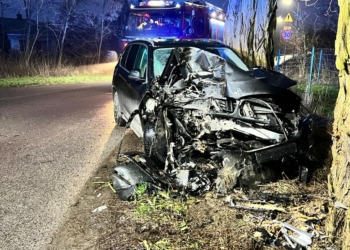 Rozbite BMW na drzewie w Dobrej-Nowinie