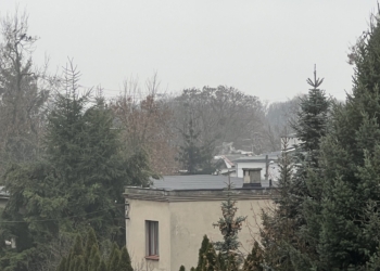 straż miejska