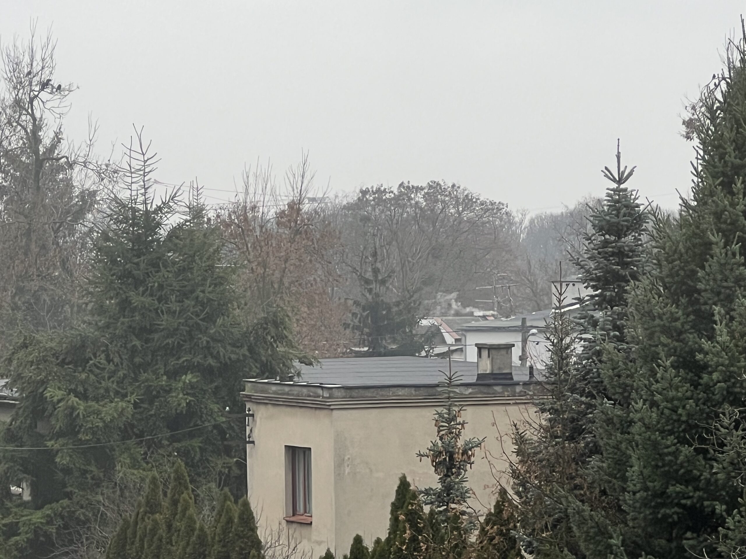 straż miejska