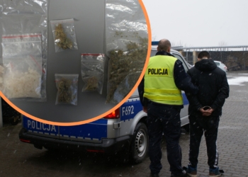 Sokolniki: podczas kontroli drogowej znaleźli narkotyki