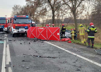 Śmiertelny wypadek na DK91 w Cedrowicach