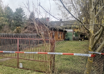 11-latka postrzelona przez brata