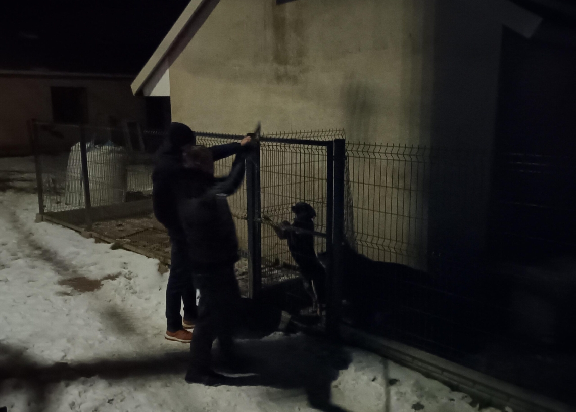 Tragedia w Komorowie. Pies zagryzł 8-letnie dziecko