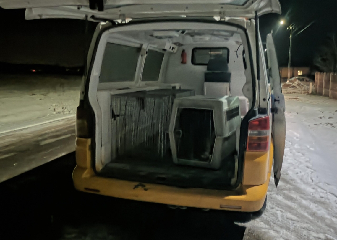 Tragedia w Komorowie. Pies zagryzł 8-letnie dziecko