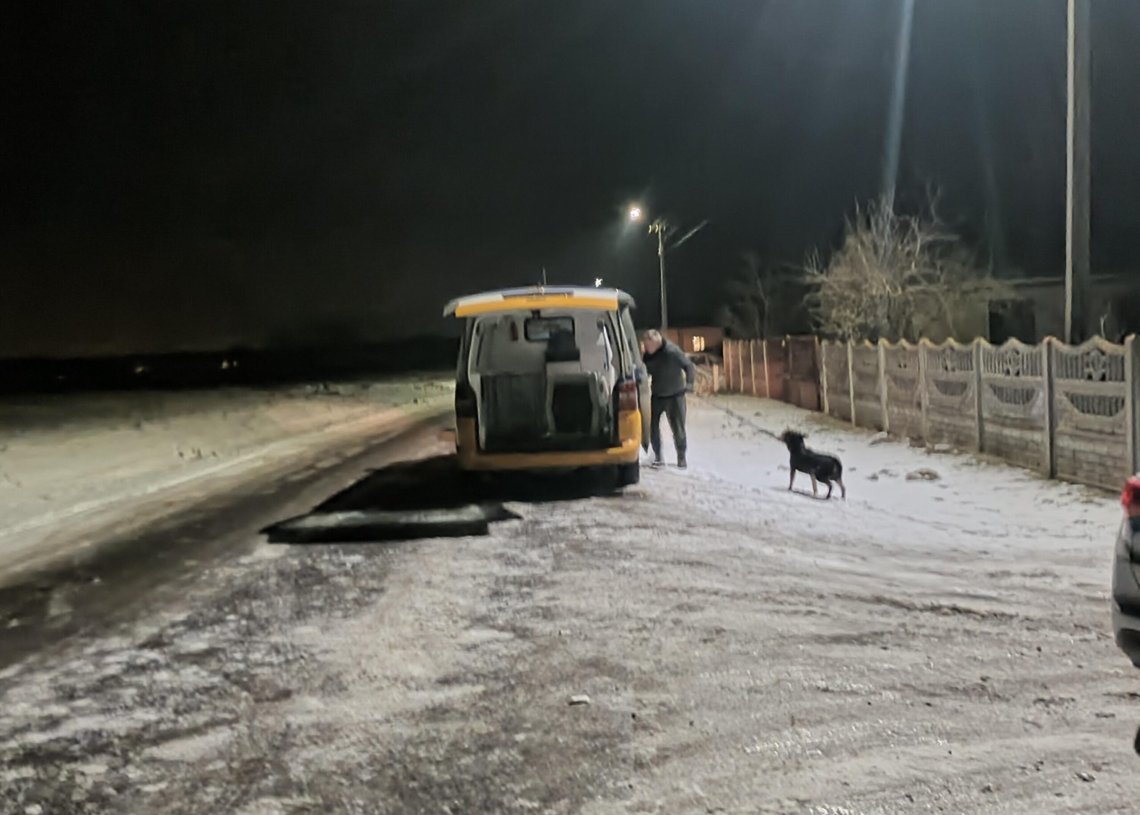 Tragedia w Komorowie. Pies zagryzł 8-letnie dziecko