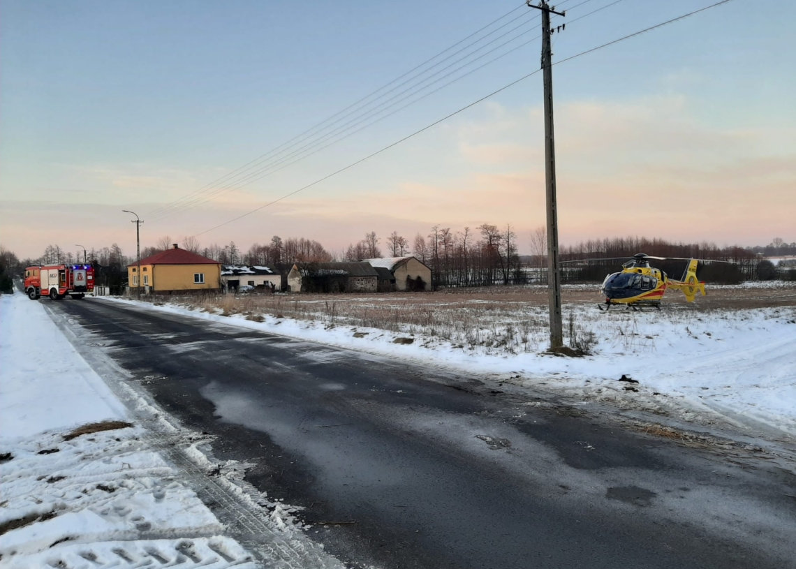 Pies zagryzł 8-letnie dziecko w Komorowie
