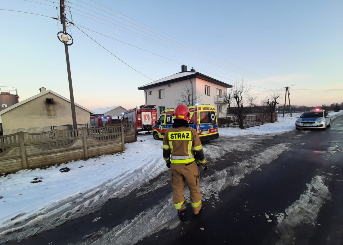 Pies zagryzł 8-letnie dziecko w Komorowie