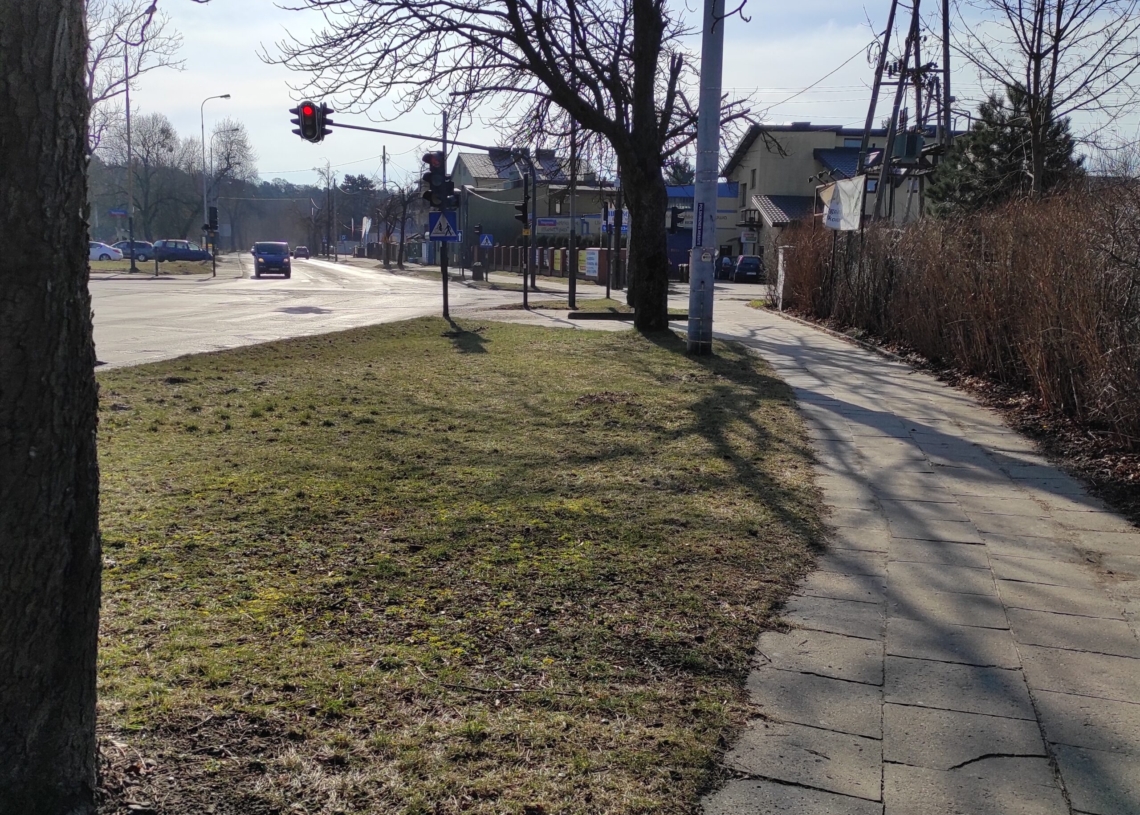 Budowa drogi rowerowej na Krakowskiej kontra mieszkańcy walczący o ochronę drzew, które przeznaczono do wycinki