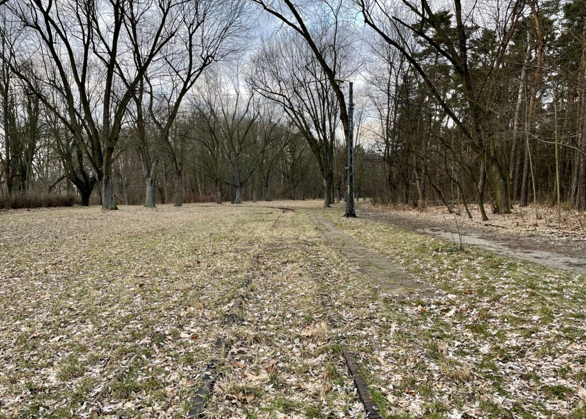 Zapomnianych krańcówek w Łodzi sporo. Kiedy tramwaje wrócą na te pętle? [ZDJĘCIA + WIDEO]