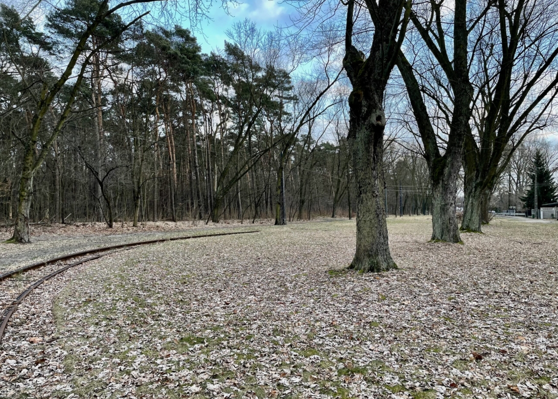 Zapomnianych krańcówek w Łodzi sporo. Kiedy tramwaje wrócą na te pętle? [ZDJĘCIA + WIDEO]