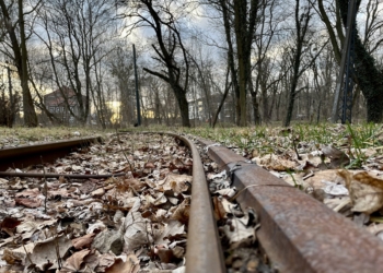 tramwaje wrócą