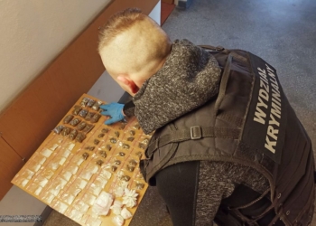Nielegalne papierosy i narkotyki w Sieradzu
