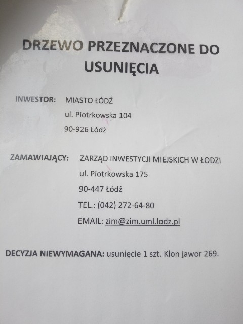 Budowa drogi rowerowej na Krakowskiej kontra mieszkańcy walczący o ochronę drzew, które przeznaczono do wycinki