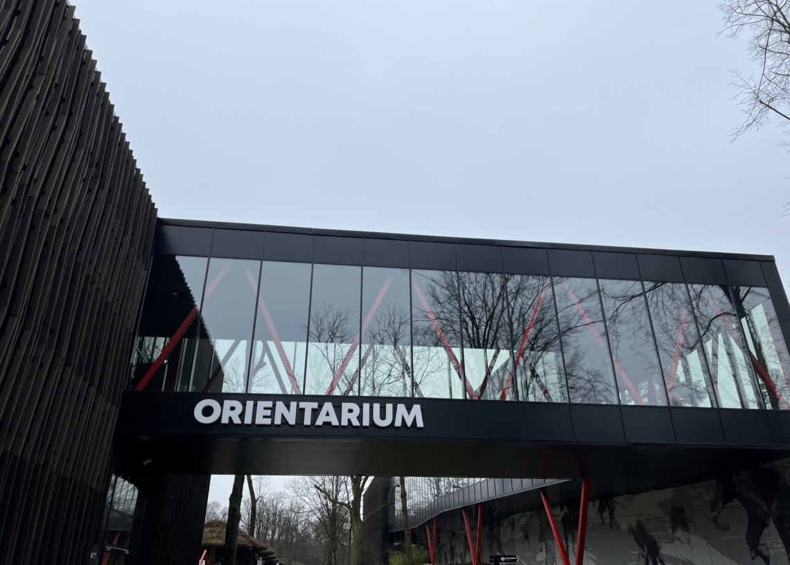 Walentynki 2023 w łódzkim Orientarium