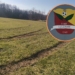 Ktoś zniszczył murawę boiska w Szczawinie. Prezes klubu: „problemem jest brak ogrodzenia” 9 Ktoś zniszczył murawę boiska w Szczawinie