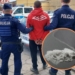 Narkotyki w gminie Nieborów