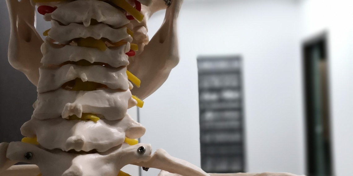 Osteopata w Krakowie - skuteczna terapia i polecani specjaliści 1 Osteopata w Krakowie – skuteczna terapia i polecani specjaliści