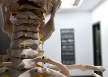 Osteopata w Krakowie – skuteczna terapia i polecani specjaliści