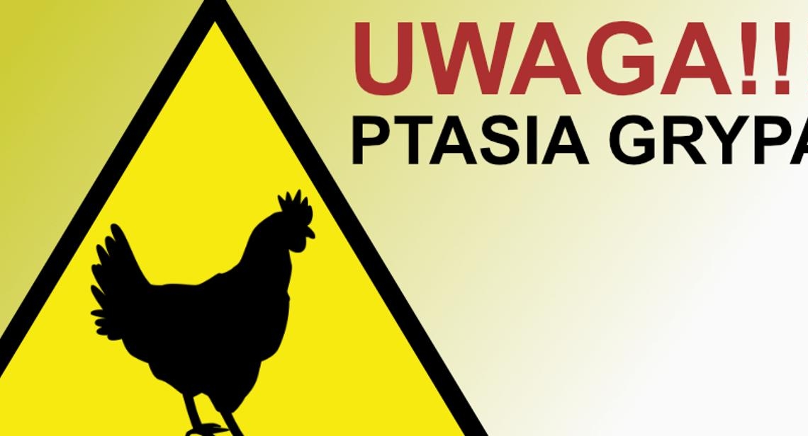 Ptasia grypa w powiecie skierniewickim