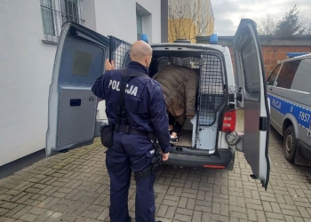 Pijani uszkodzili 10 samochodów w Łęczycy