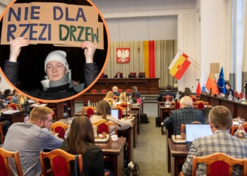 Wycinka przy Kilińskiego 95 w Łodzi