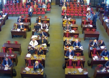 Wycinka drzew przy Kilińskiego 95 w Łodzi na sesji Rady Miejskiej w Łodzi