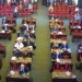 Wybory Samorządowe 2024: Kandydaci Koalicji Obywatelskiej w Łodzi 6 Wycinka drzew przy Kilińskiego 95 w Łodzi na sesji Rady Miejskiej w Łodzi