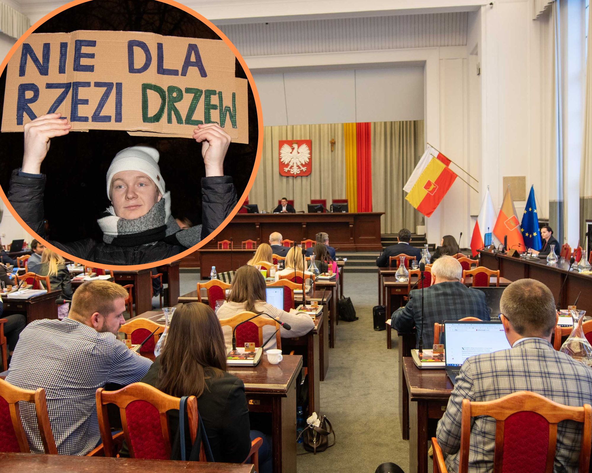 Wycinka przy Kilińskiego 95 w Łodzi