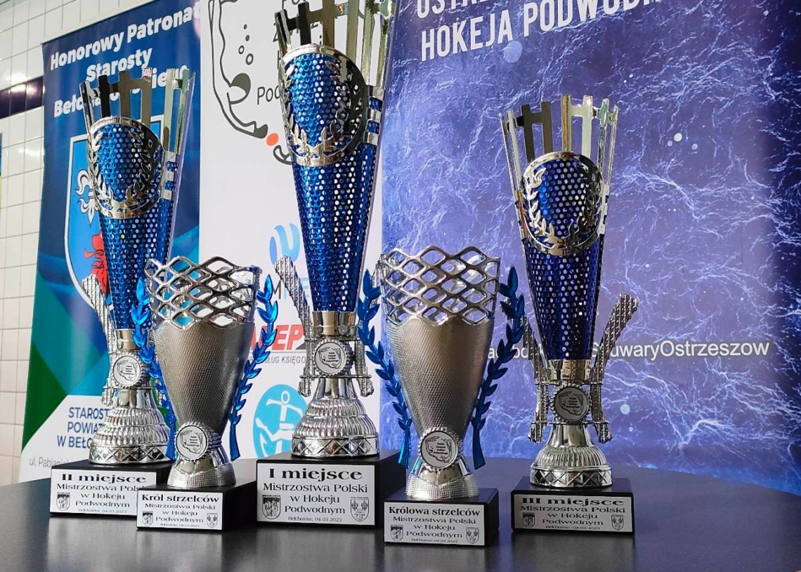 Mistrzostwa Polski w hokeju podwodnym w Bełchatowie