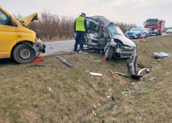 Wypadek śmiertelny na DW725 w powiecie rawskim
