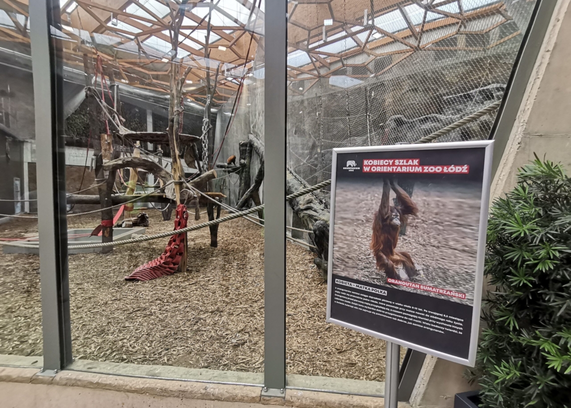 Kobiecy szlak edukacyjny w łódzkim Orientarium
