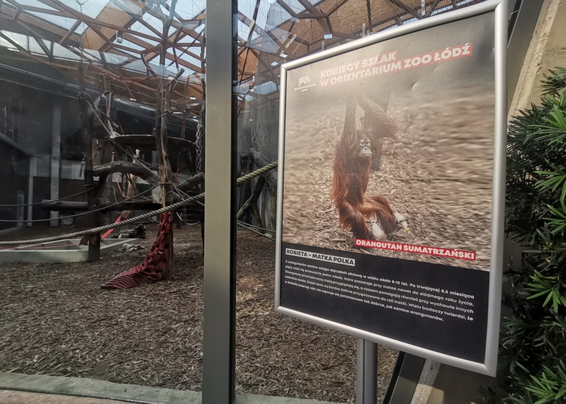 Kobiecy szlak edukacyjny w łódzkim Orientarium