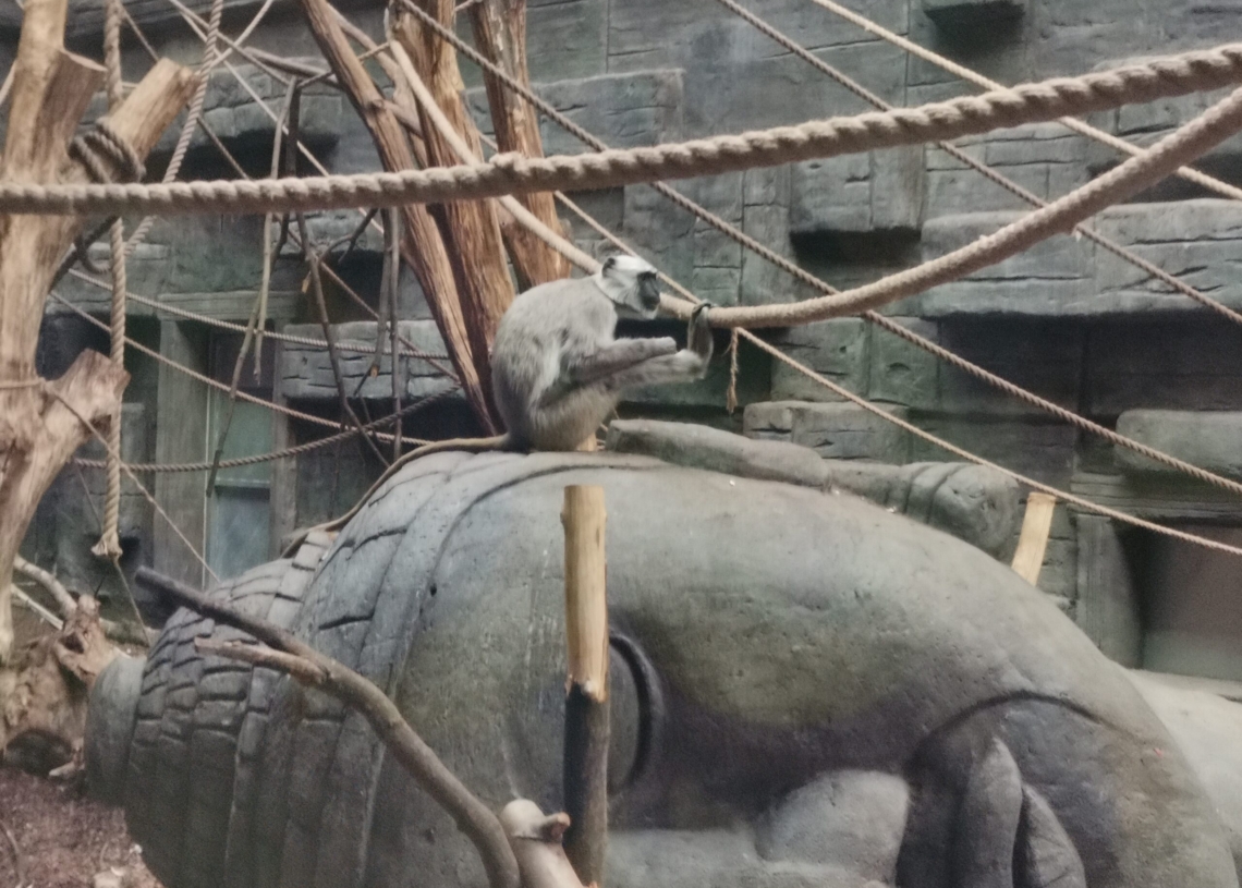 Kobiecy szlak edukacyjny w łódzkim Orientarium
