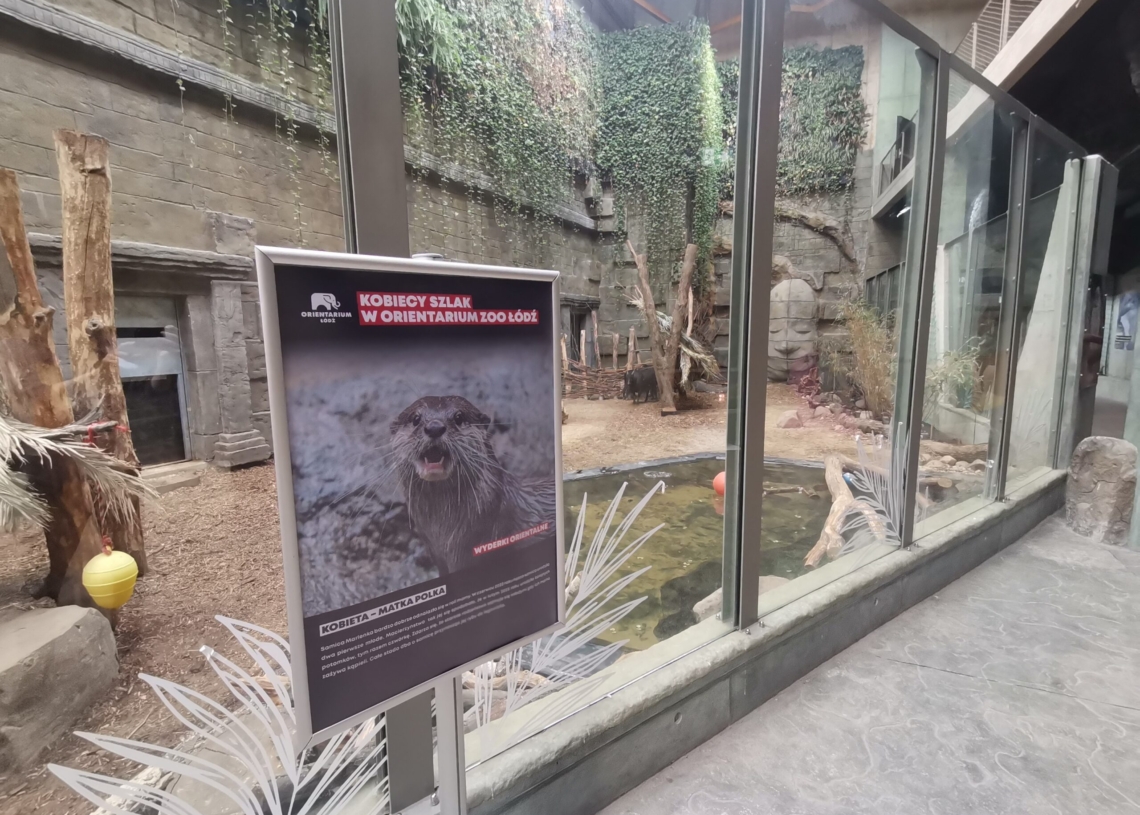 Kobiecy szlak edukacyjny w łódzkim Orientarium