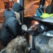 Nocne patrole w Łodzi