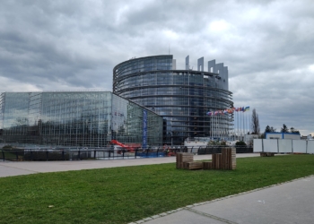 Europoseł, były minister rolnictwa Krzysztof Jurgiel o redukcji środków ochrony roślin