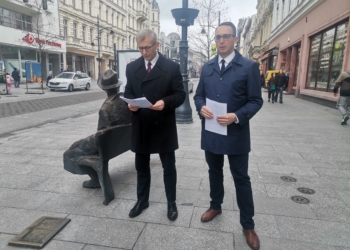 projekt ustawy o sołtysach i radach sołeckich
