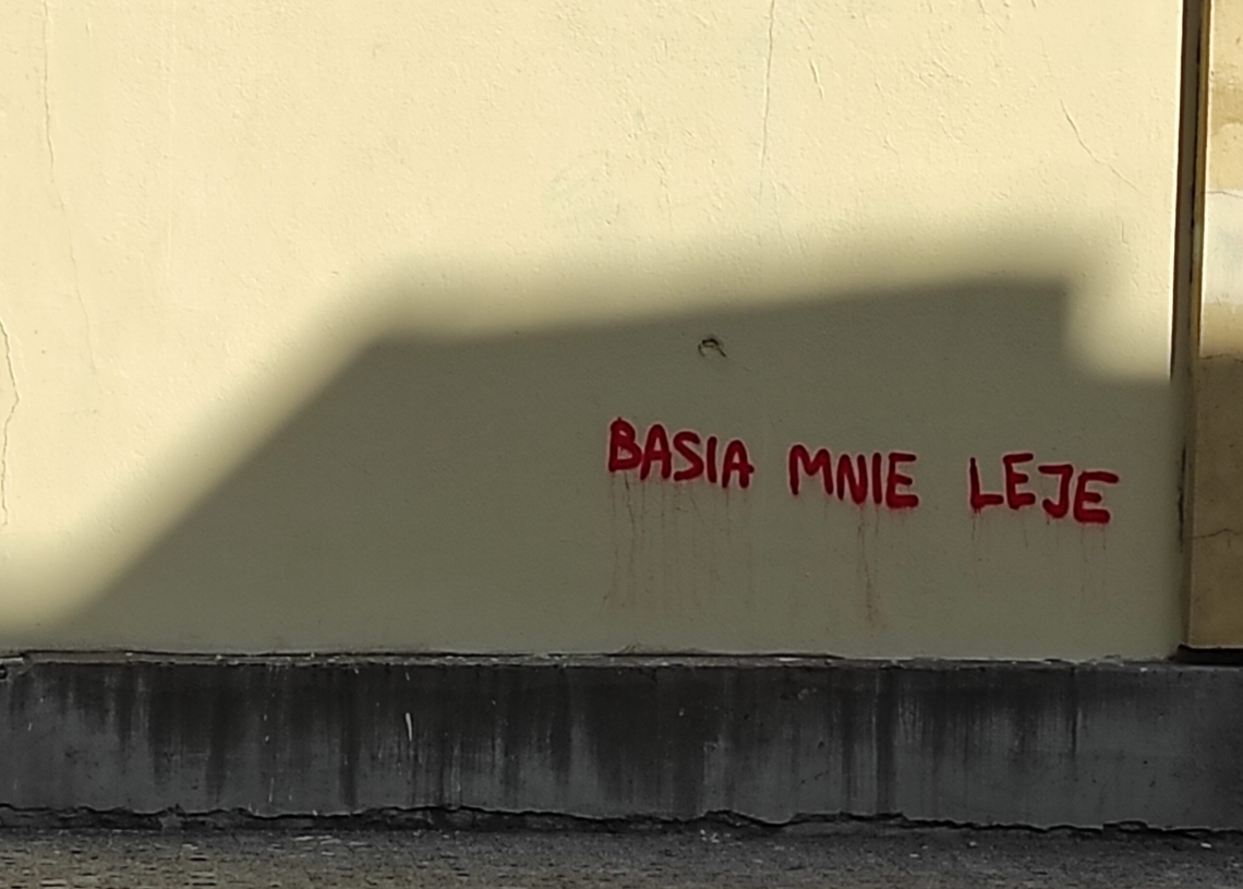 Plebiscyt Brudna Miotła. Łodzianie mogą zgłaszać swoje propozycje w 6 kategoriach [ZDJĘCIA]