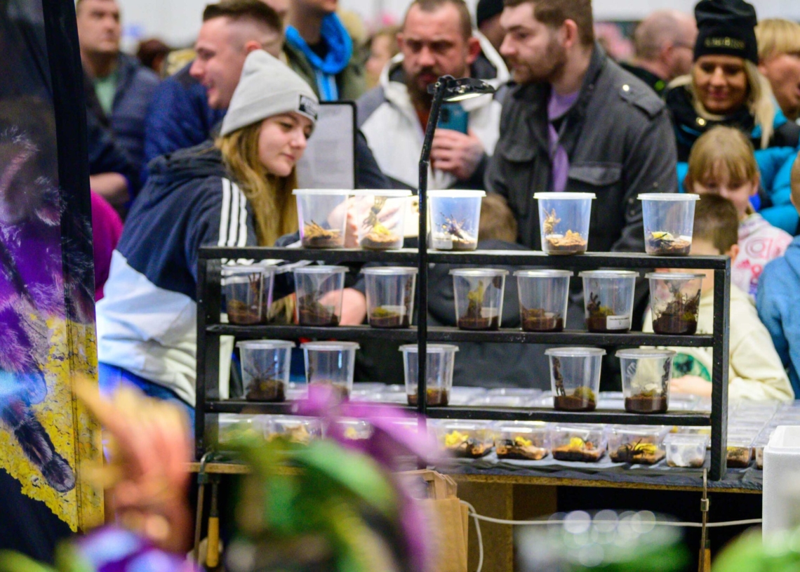 Targi egzotyczne w hali Expo