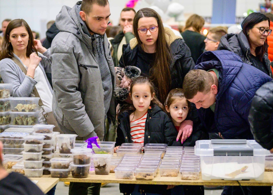 Targi egzotyczne w hali Expo