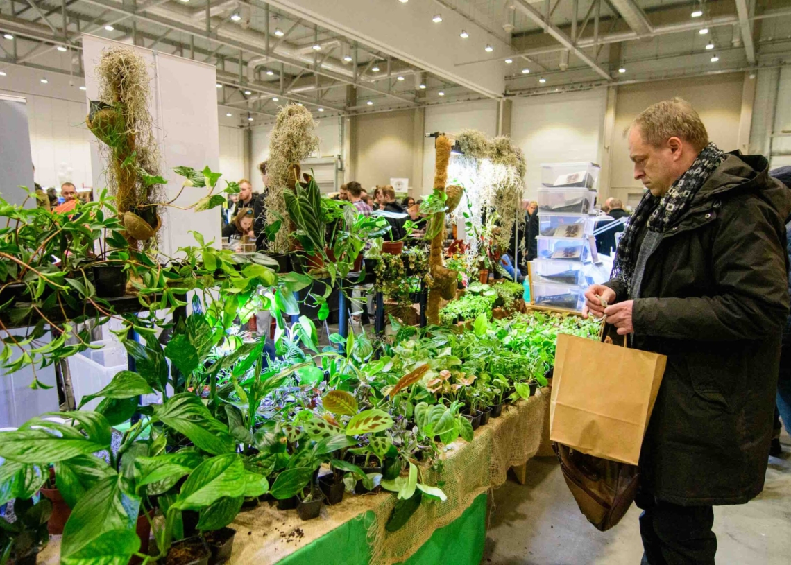 Targi egzotyczne w hali Expo
