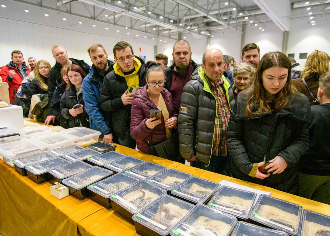 Targi egzotyczne w hali Expo