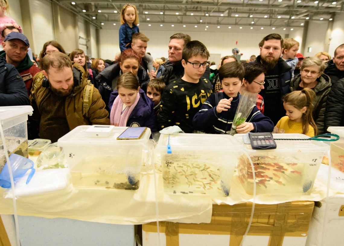 Targi egzotyczne w hali Expo